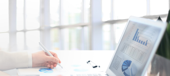 Domestic Financing