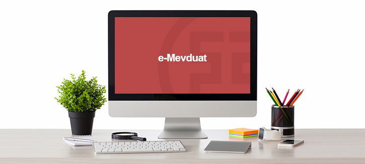 e-Mevduat